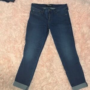 Express Dark Blue Ankle Jeans